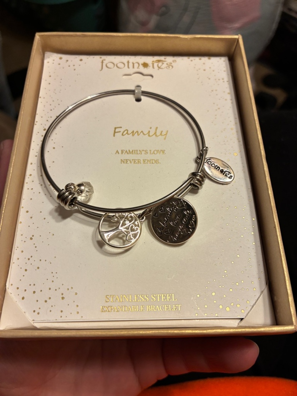 Footnotes Silver Family Charm Expandable Bracelet
